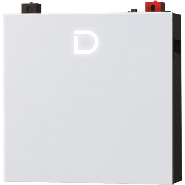 Акумулятор Dyness LiFePO4 48V (48V/100Ah/5120Wh) (DL5.0C Pro)