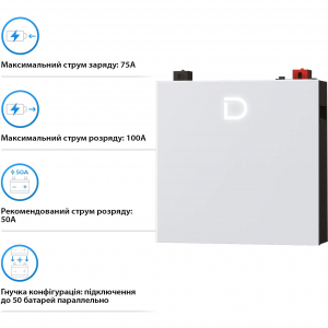 Акумулятор Dyness LiFePO4 48V (48V/100Ah/5120Wh) (DL5.0C Pro)