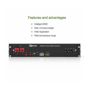 Акумулятор Dyness B4850 - 2.4 кВт 48V 50A LifePO4
