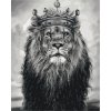 Картина по номерам. Животные, птицы "Король Лев" 40*50см KHO4079