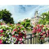 Картина по номерам. Brushme " Амстердам GX21698