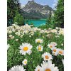 Картина по номерам. "Красота природы" 40*50см KHO2819