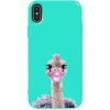 Чехол-накладка TOTO Pure Tpu 2mm Print Case Apple iPhone X/XS #38 Ostrich Gum Mint