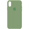 Чехол-накладка TOTO Silicone Case iPhone X/XS Spearmint