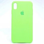 Чехол Apple Silicone Case для iPhone X/Xs "22" Green