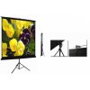 Экран для проектора 120"(240х180см) LOGAN PRT3